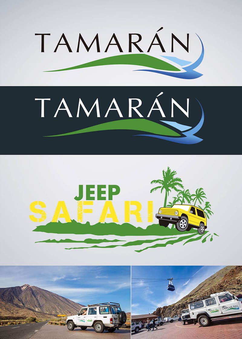 branding + advertising designs